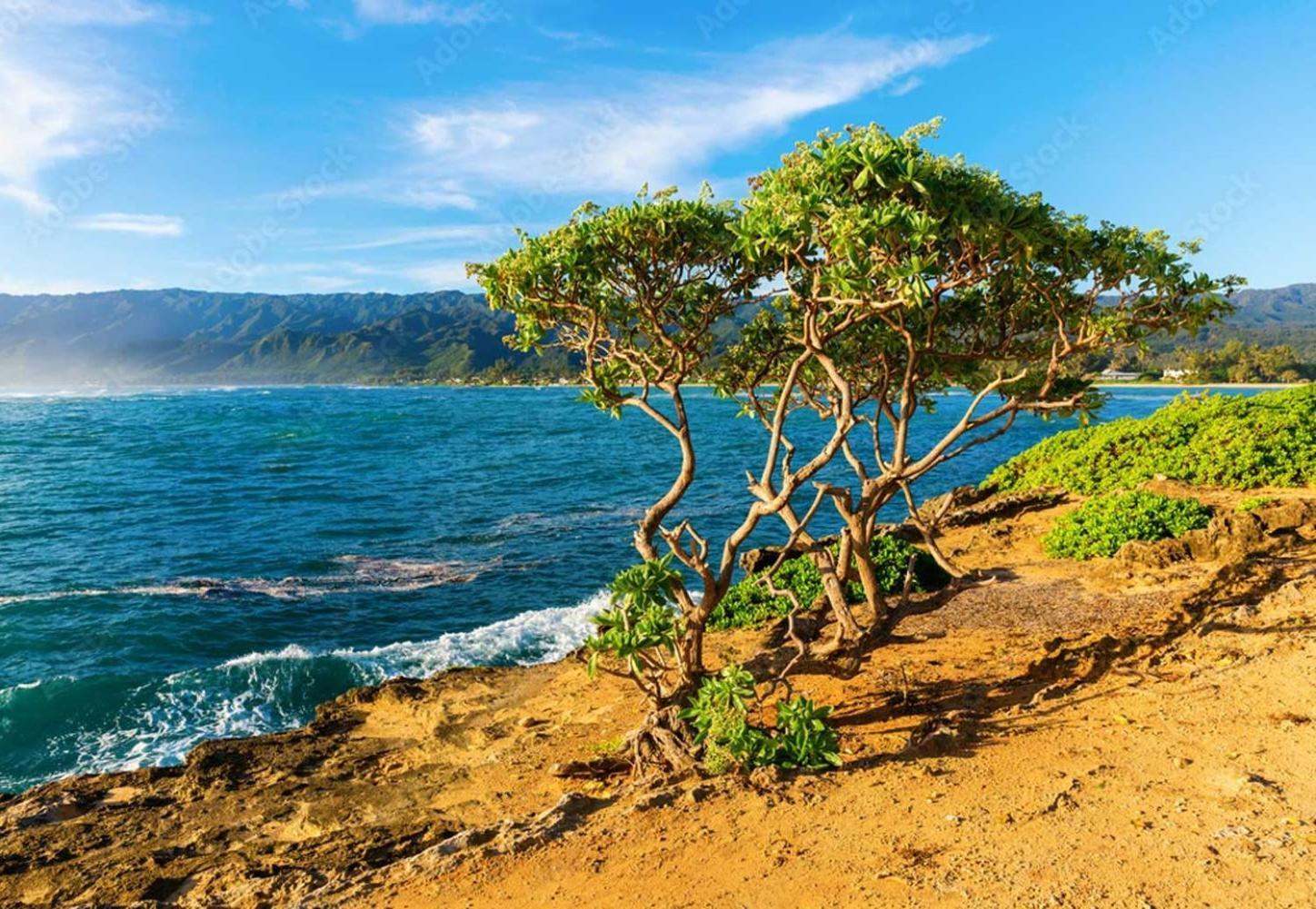 Naupaka Breeze Ocean View Ac 30 Day Stay Specials! Laie Luaran gambar